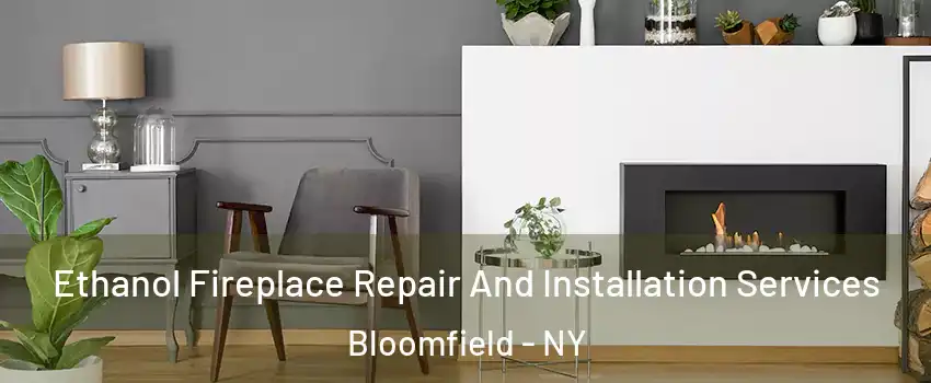 Ethanol Fireplace Repair And Installation Services Bloomfield - NY