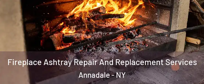 Fireplace Ashtray Repair And Replacement Services Annadale - NY