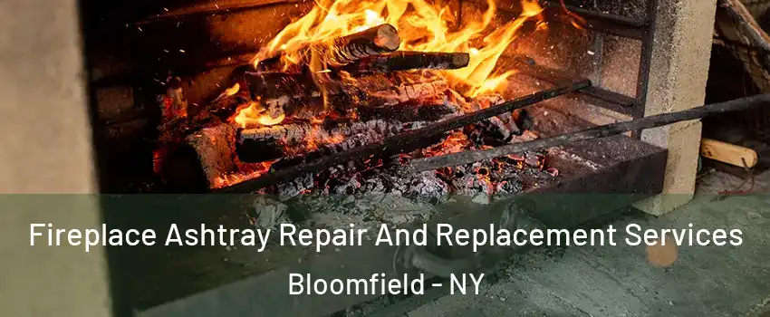 Fireplace Ashtray Repair And Replacement Services Bloomfield - NY