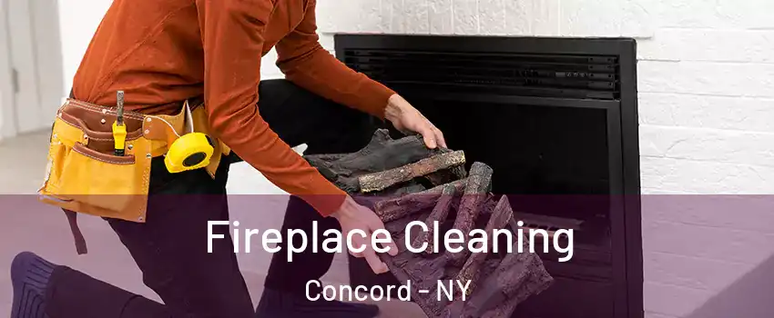 Fireplace Cleaning Concord - NY