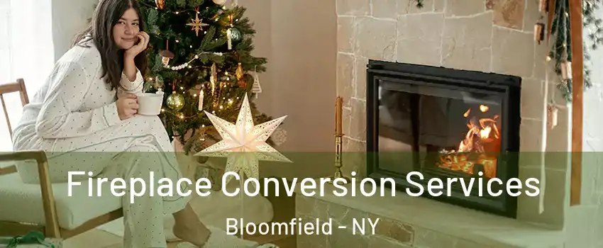 Fireplace Conversion Services Bloomfield - NY