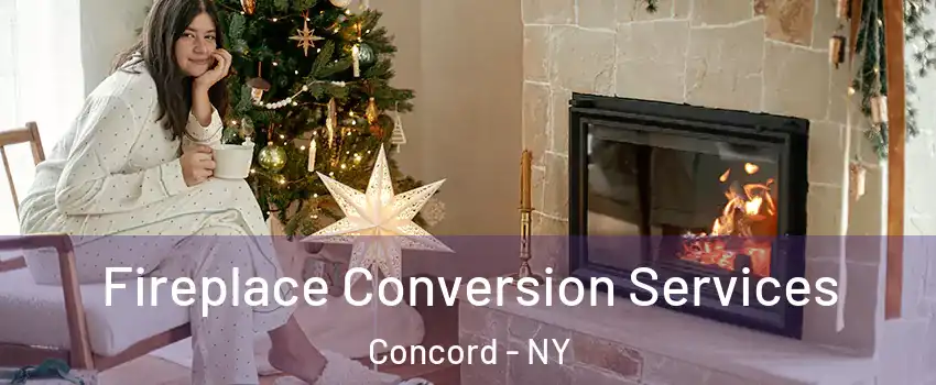 Fireplace Conversion Services Concord - NY