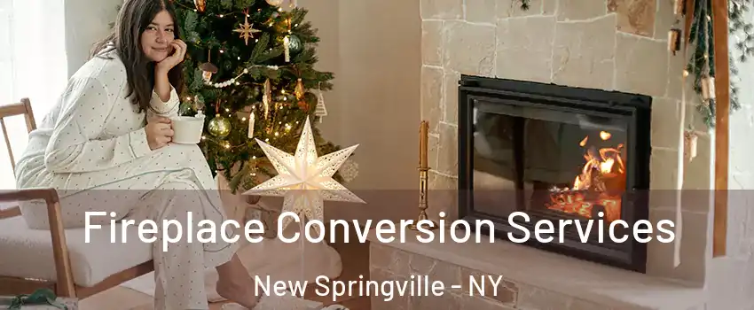 Fireplace Conversion Services New Springville - NY