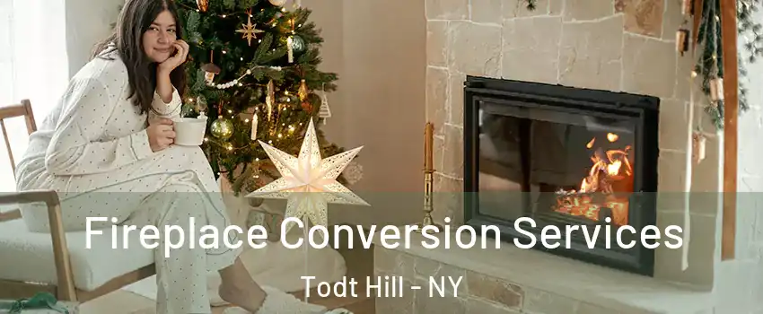 Fireplace Conversion Services Todt Hill - NY