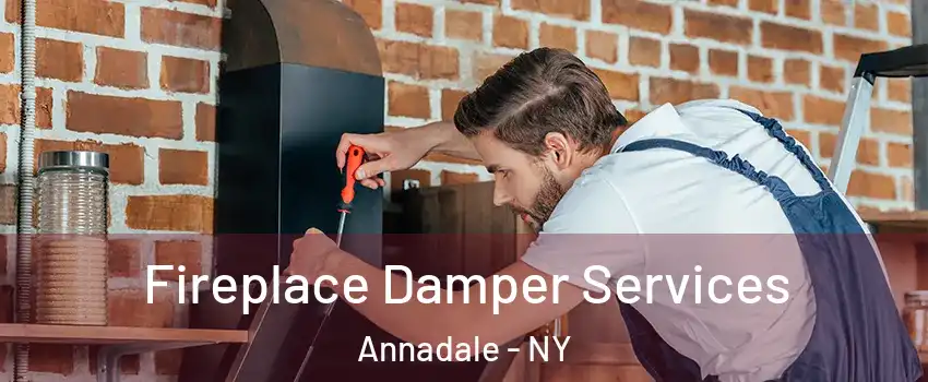 Fireplace Damper Services Annadale - NY