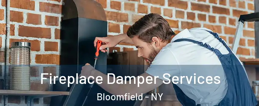 Fireplace Damper Services Bloomfield - NY