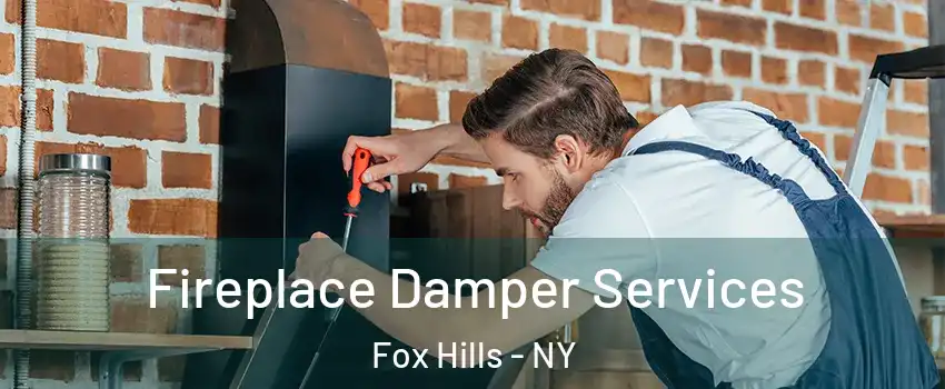 Fireplace Damper Services Fox Hills - NY