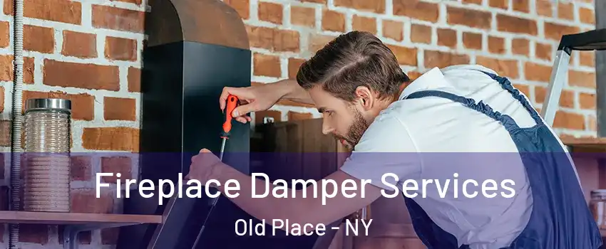 Fireplace Damper Services Old Place - NY