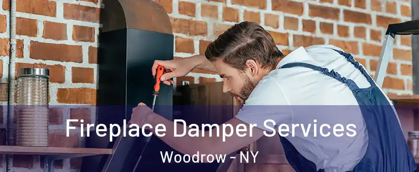 Fireplace Damper Services Woodrow - NY