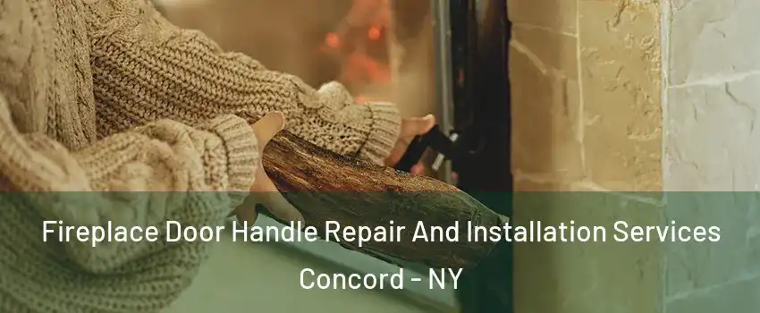 Fireplace Door Handle Repair And Installation Services Concord - NY