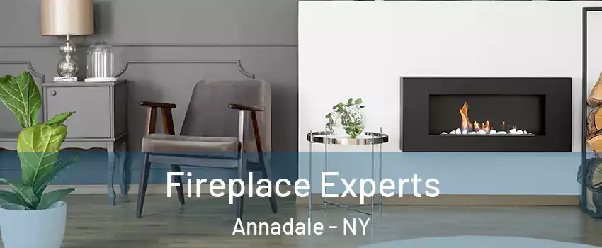 Fireplace Experts Annadale - NY