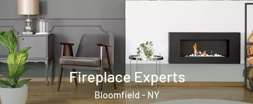 Fireplace Experts Bloomfield - NY