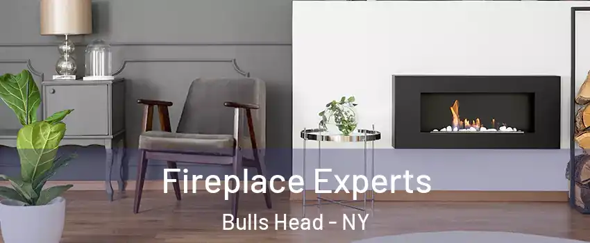 Fireplace Experts Bulls Head - NY