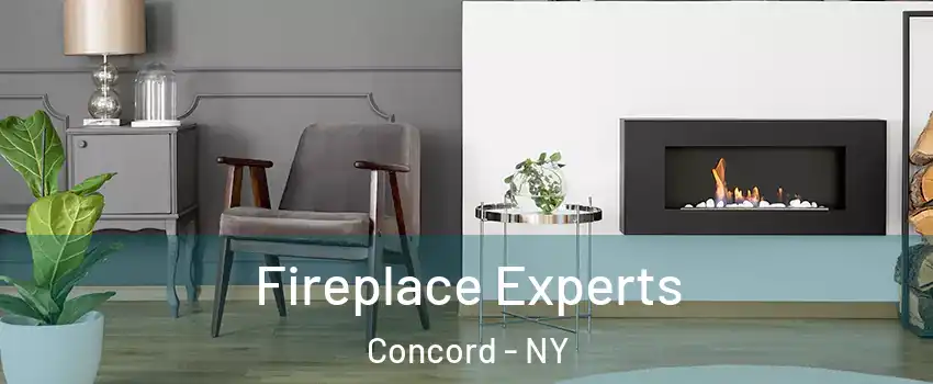 Fireplace Experts Concord - NY