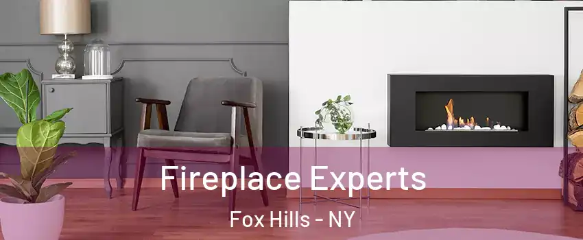 Fireplace Experts Fox Hills - NY