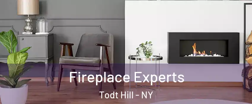 Fireplace Experts Todt Hill - NY