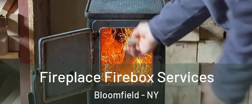 Fireplace Firebox Services Bloomfield - NY