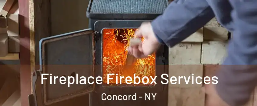 Fireplace Firebox Services Concord - NY