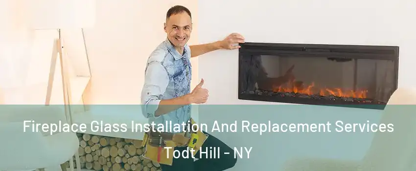 Fireplace Glass Installation And Replacement Services Todt Hill - NY