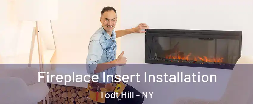 Fireplace Insert Installation Todt Hill - NY