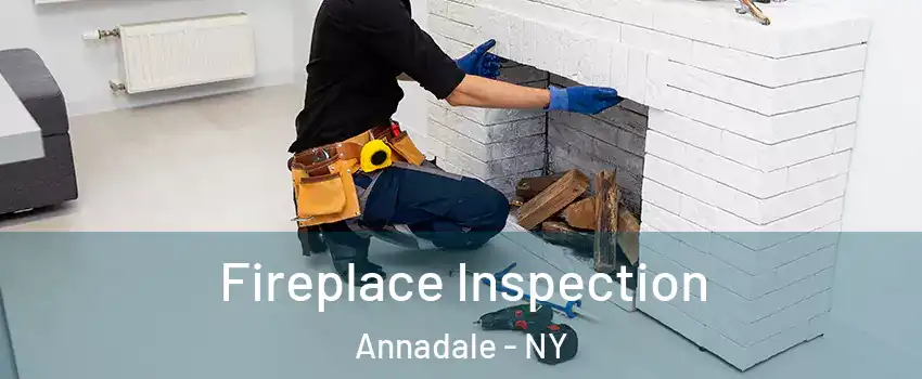 Fireplace Inspection Annadale - NY