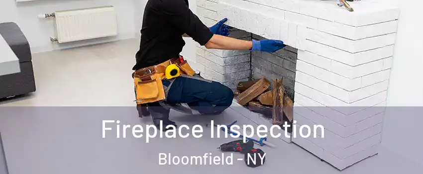 Fireplace Inspection Bloomfield - NY