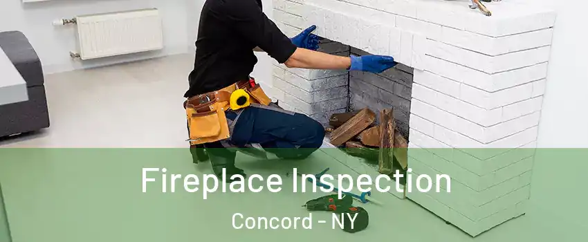 Fireplace Inspection Concord - NY