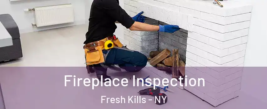 Fireplace Inspection Fresh Kills - NY