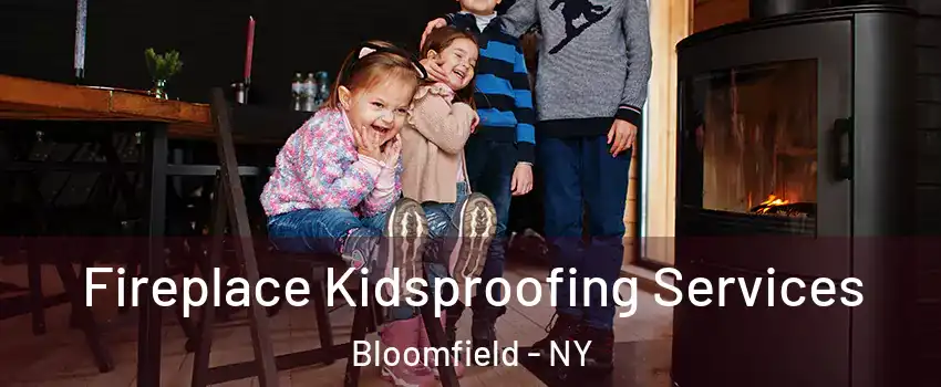 Fireplace Kidsproofing Services Bloomfield - NY