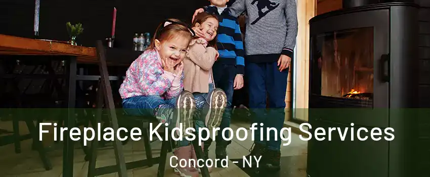 Fireplace Kidsproofing Services Concord - NY