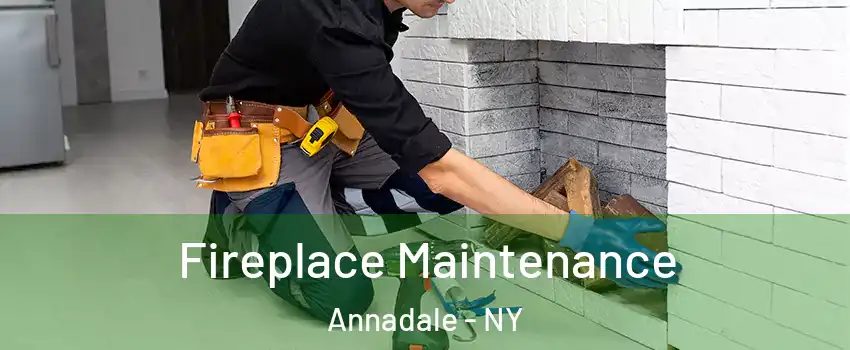 Fireplace Maintenance Annadale - NY