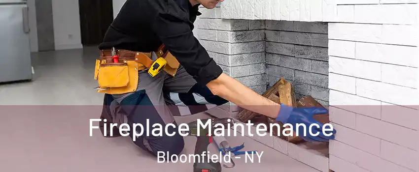 Fireplace Maintenance Bloomfield - NY