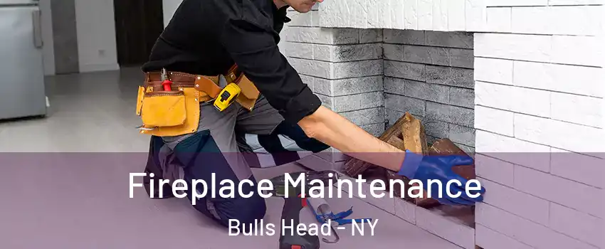 Fireplace Maintenance Bulls Head - NY