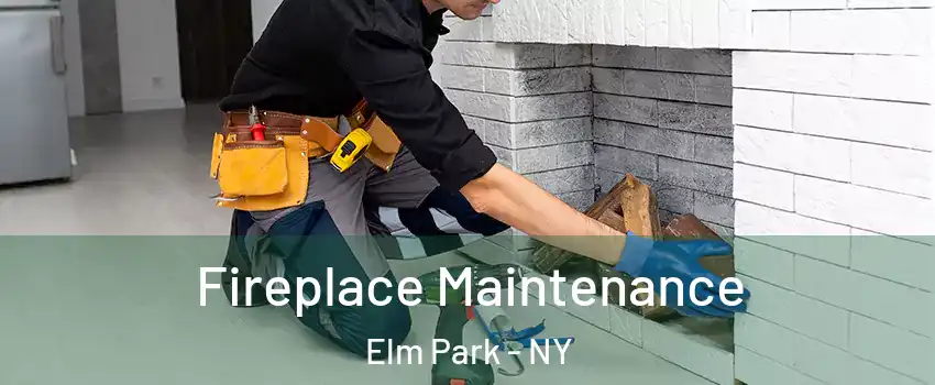 Fireplace Maintenance Elm Park - NY