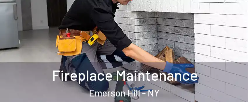 Fireplace Maintenance Emerson Hill - NY