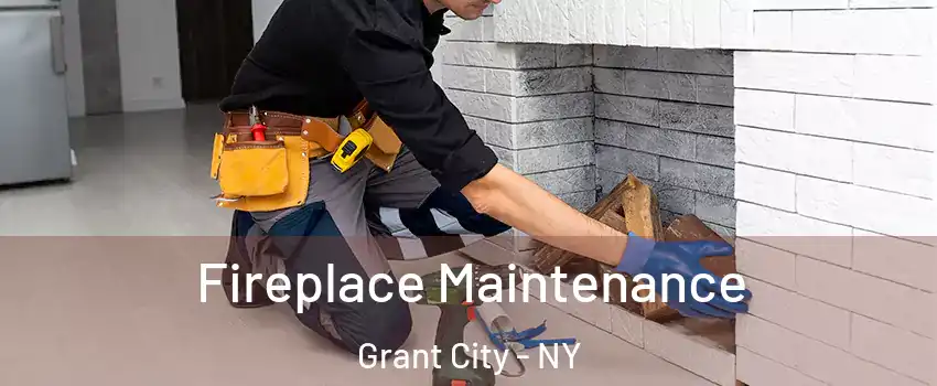 Fireplace Maintenance Grant City - NY