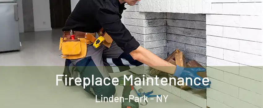 Fireplace Maintenance Linden-Park - NY