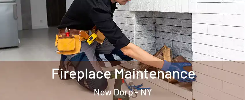 Fireplace Maintenance New Dorp - NY