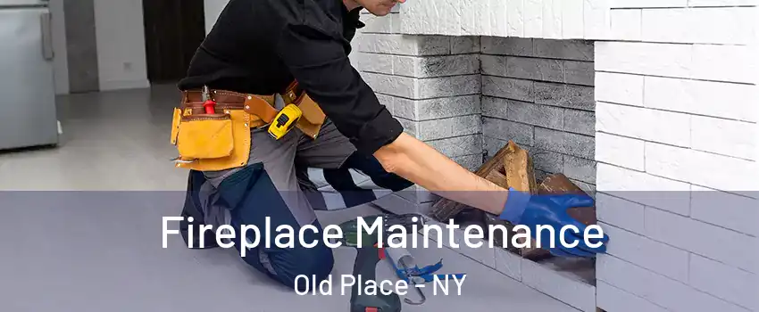 Fireplace Maintenance Old Place - NY