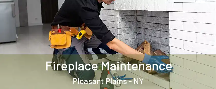 Fireplace Maintenance Pleasant Plains - NY