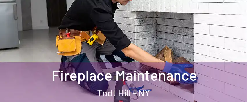 Fireplace Maintenance Todt Hill - NY