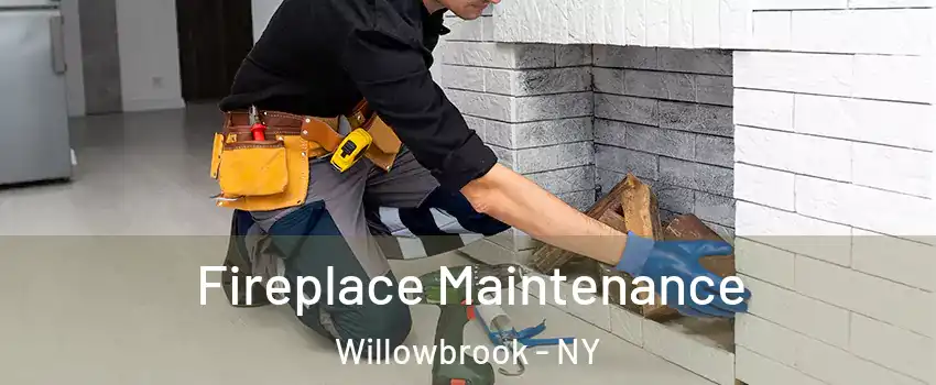 Fireplace Maintenance Willowbrook - NY