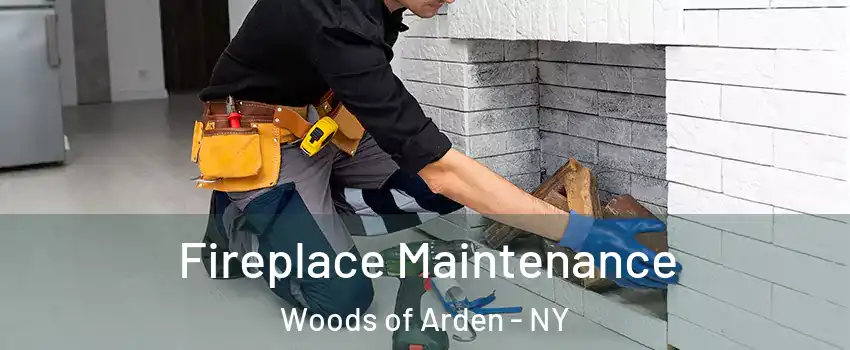 Fireplace Maintenance Woods of Arden - NY