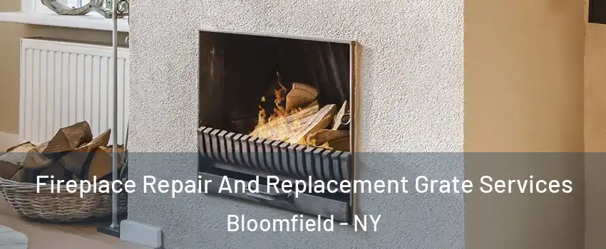 Fireplace Repair And Replacement Grate Services Bloomfield - NY