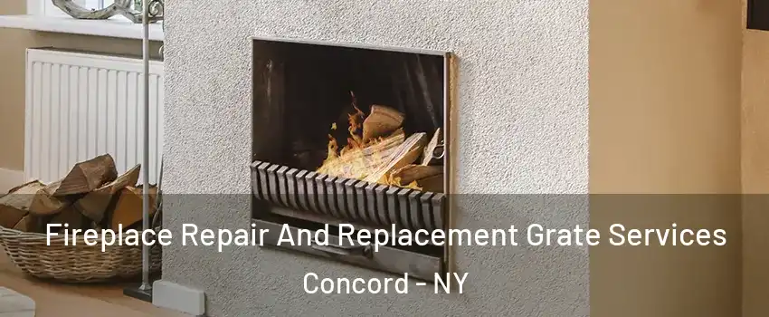 Fireplace Repair And Replacement Grate Services Concord - NY