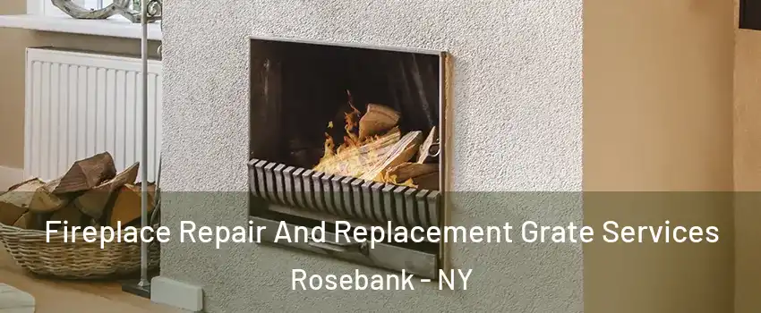 Fireplace Repair And Replacement Grate Services Rosebank - NY