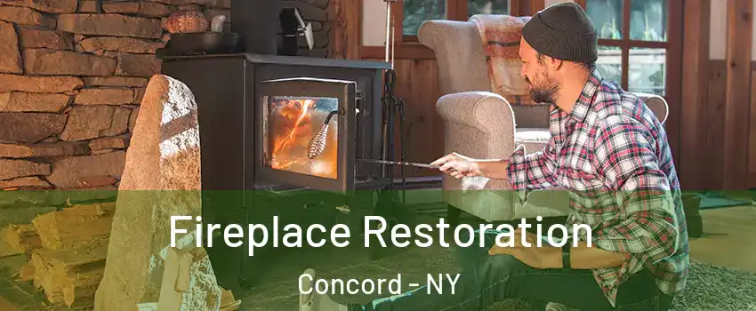 Fireplace Restoration Concord - NY