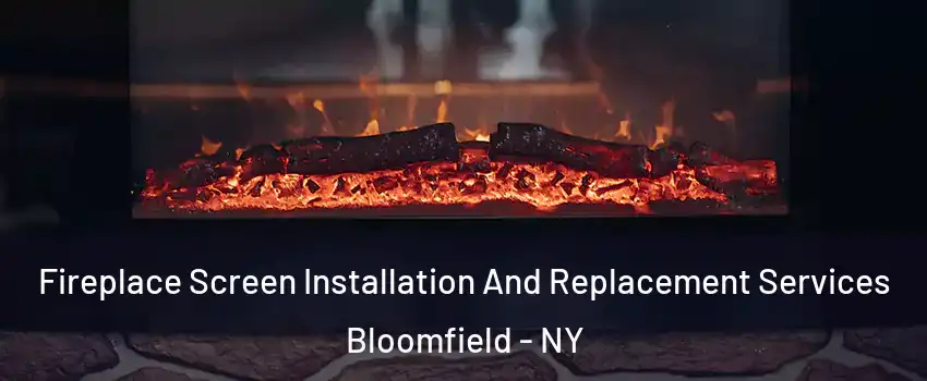 Fireplace Screen Installation And Replacement Services Bloomfield - NY