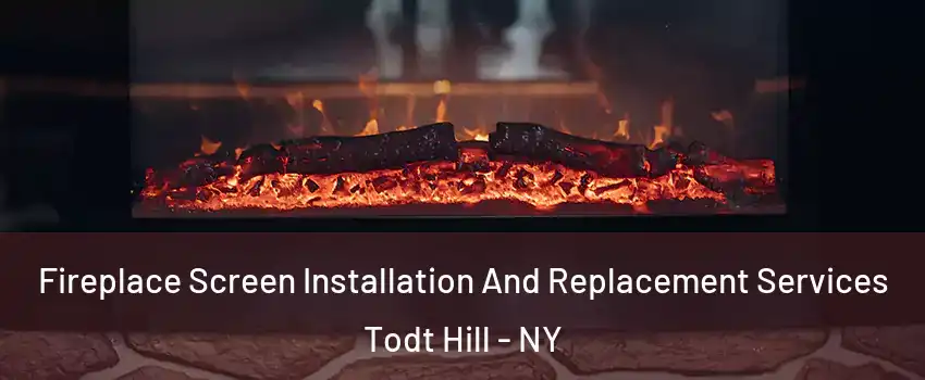 Fireplace Screen Installation And Replacement Services Todt Hill - NY