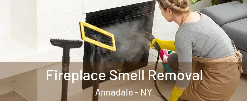 Fireplace Smell Removal Annadale - NY